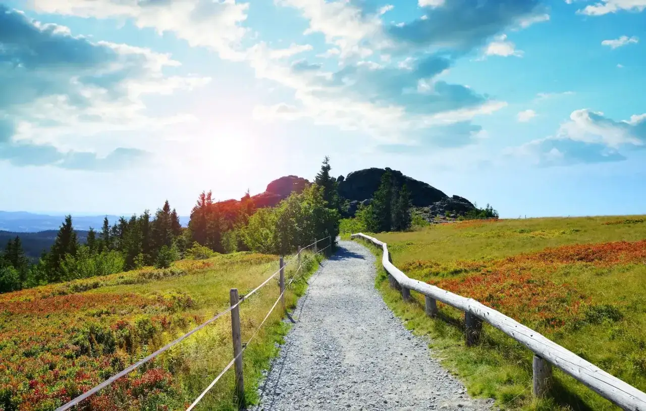A gravel path winds through a vibrant landscape, perfect for wandern im bayerischen wald. Colorful bushes and green trees lead to rocky peaks under a bright, cloudy sky.