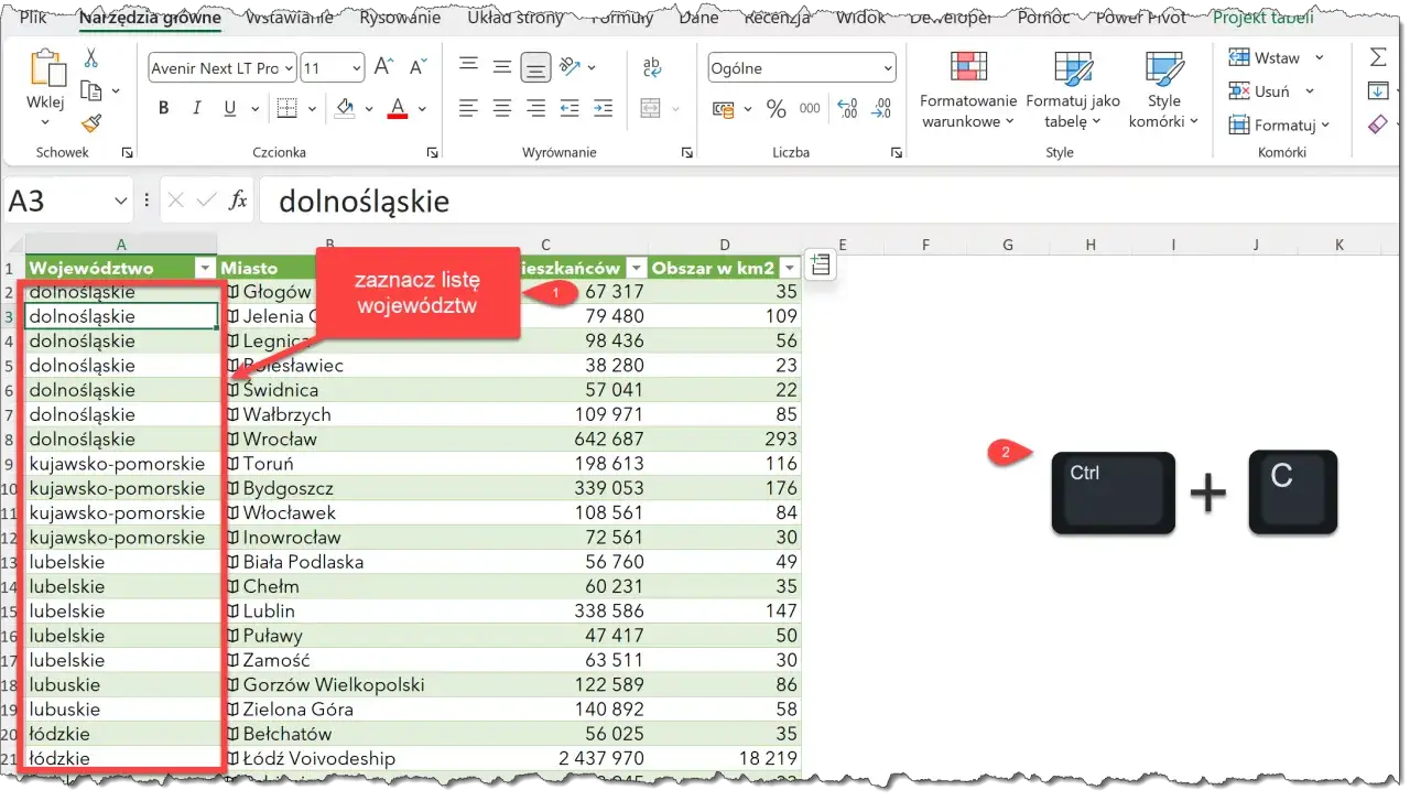 W arkuszu Excel zaznaczono kolumnę 