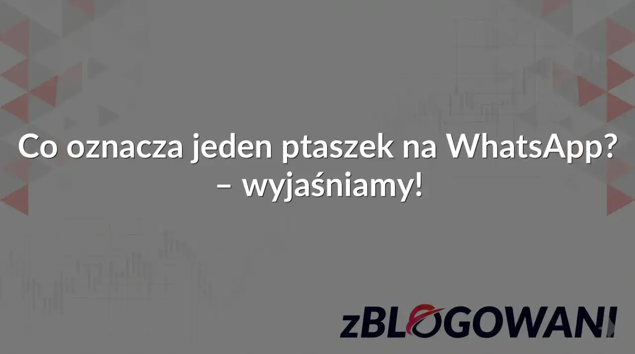 Co oznacza jeden ptaszek na WhatsApp? Wyjaśniamy! Zalogowani.