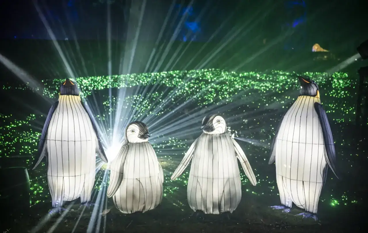 Ping&uuml;inos iluminados en un espect&aacute;culo de luz y color, como si la naturaleza encendida de Zaragoza cobrara vida.