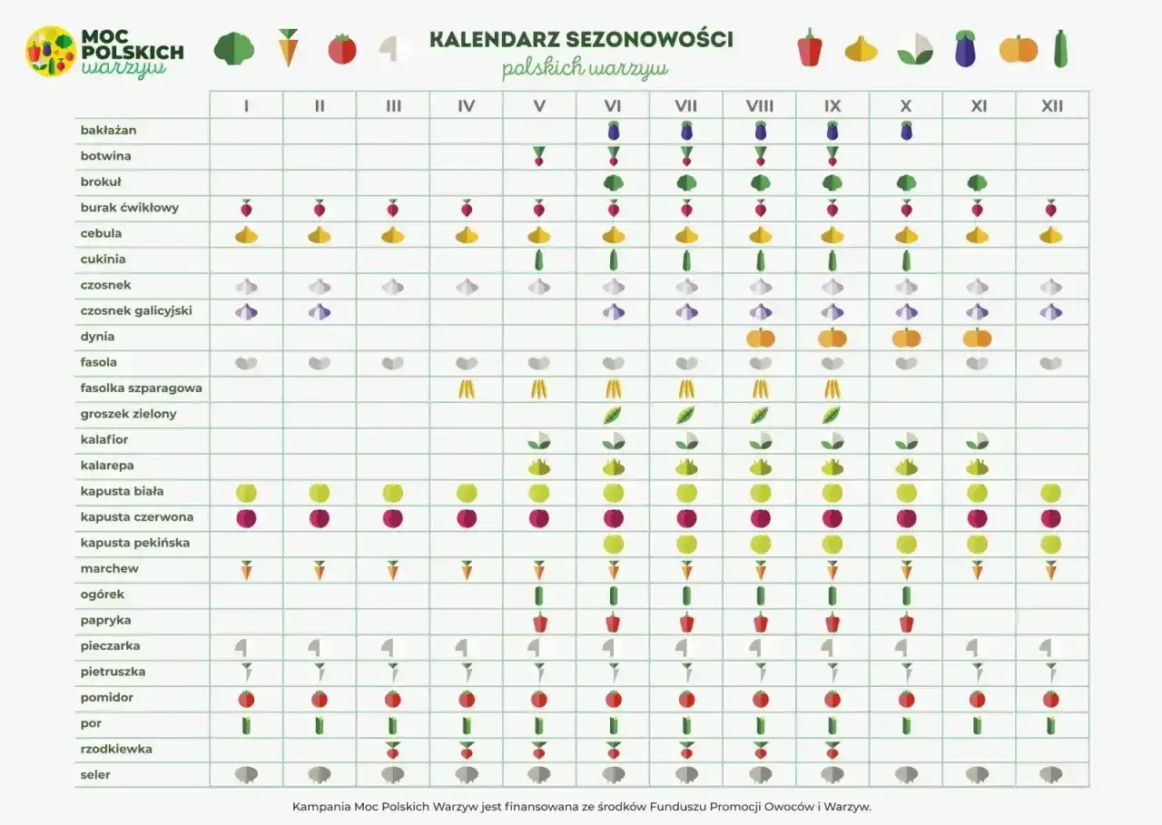 Kalendarz sezonowości polskich warzyw. Plan sadzenia warzyw od stycznia do grudnia, z ikonami wskazującymi najlepszy czas na uprawę.