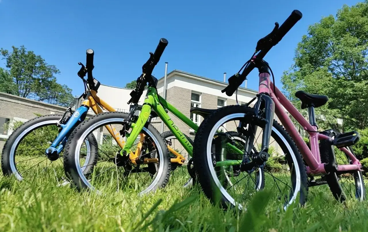 Trzy lekkie rowerki dla 4 latka: niebieski, zielony i różowy, stoją na trawie w słoneczny dzień.