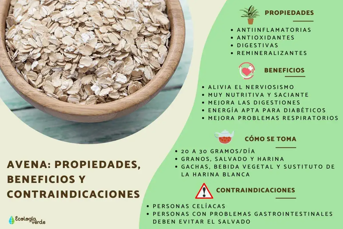 Avena: sus propiedades antiinflamatorias, antioxidantes y digestivas. Beneficios y cómo consumirla.