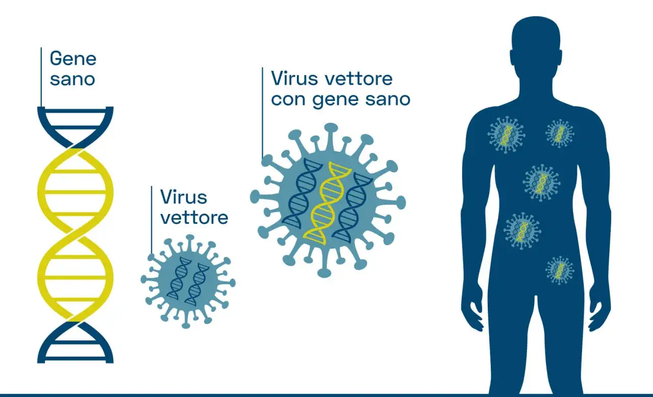 Illustrazione della terapia genica: un virus vettore trasporta un gene sano in un corpo umano per correggere difetti genetici.