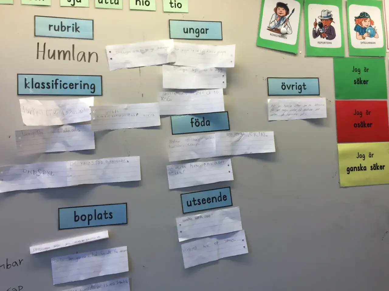 En v&auml;gg med post-it-lappar och rubriker om humlor. En faktatext exempel-samling.