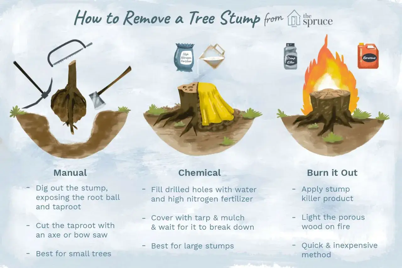 Ilustraci&oacute;n muestra tres m&eacute;todos para quitar un tocon de arbol: manual con herramientas, qu&iacute;mico con fertilizante y para quemar con queroseno.