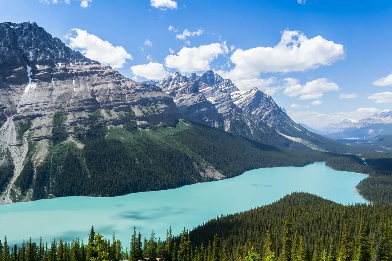 Türkisblaue See umgeben von Nadelwäldern und zerklüfteten Bergen im Banff Nationalpark, Kanada.