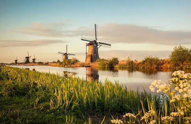 Kinderdijk panoramiczny widok wiatraki