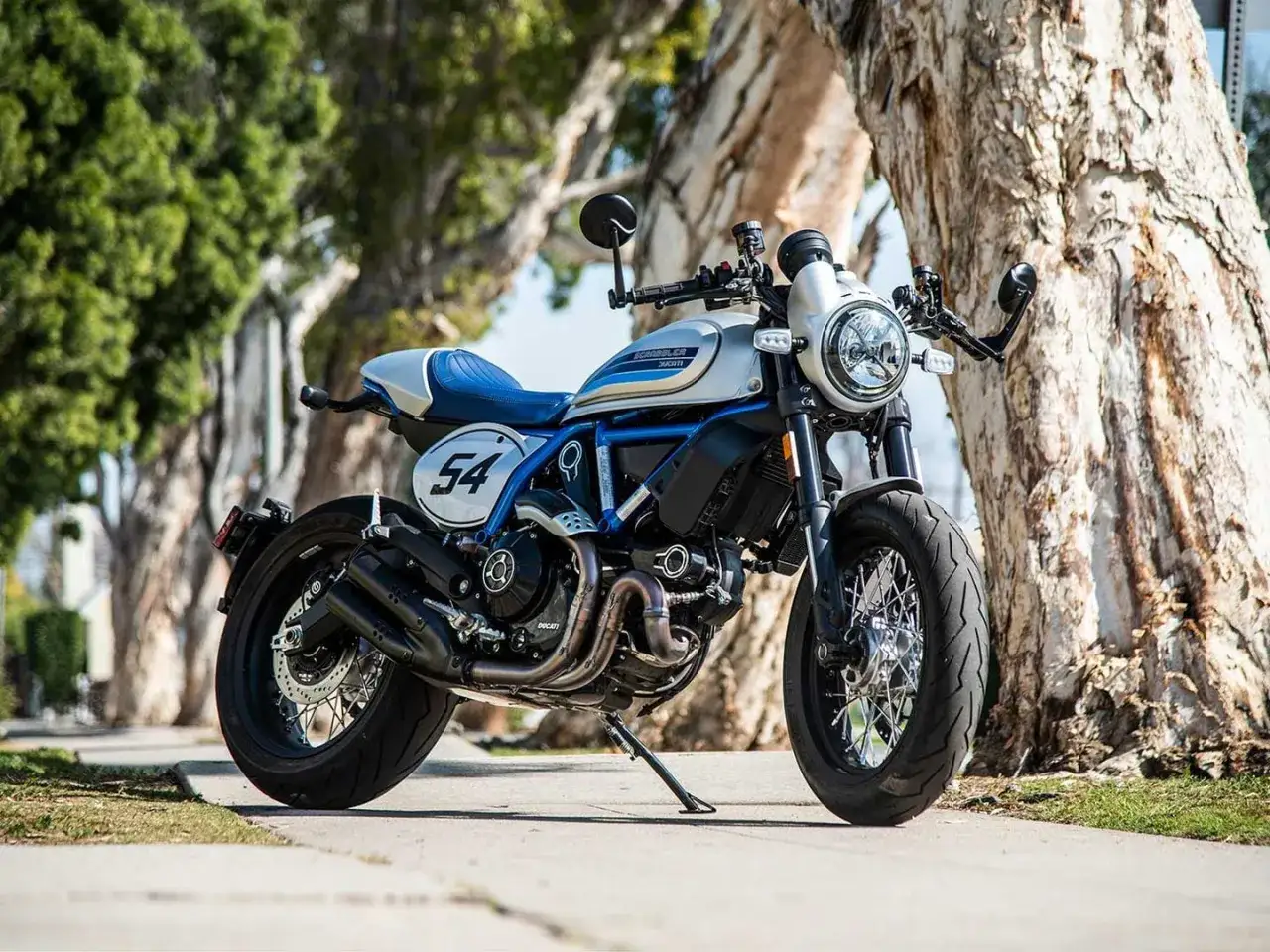 Ducati Scrambler Cafe Racer, blanca y azul, con el n&uacute;mero 54 en el lateral, aparcada bajo &aacute;rboles frondosos.