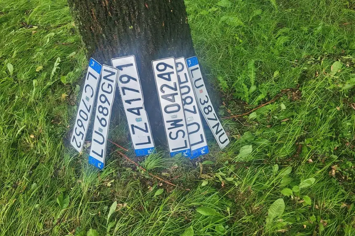 Kilka tablic rejestracyjnych z oznaczeniem LU leży przy pniu drzewa na trawie.