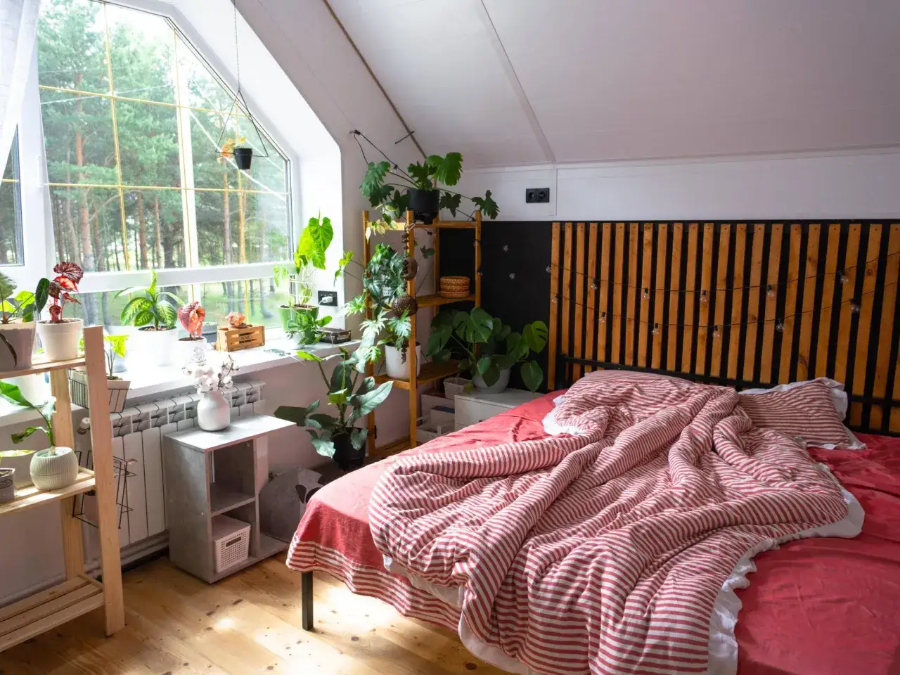 Ein gemütliches Schlafzimmer mit vielen Pflanzen und einem großen Fenster, das den Blick auf den Wald freigibt. Hier könnte man sich vorstellen, dauerhaft im Wohnzimmer zu schlafen.