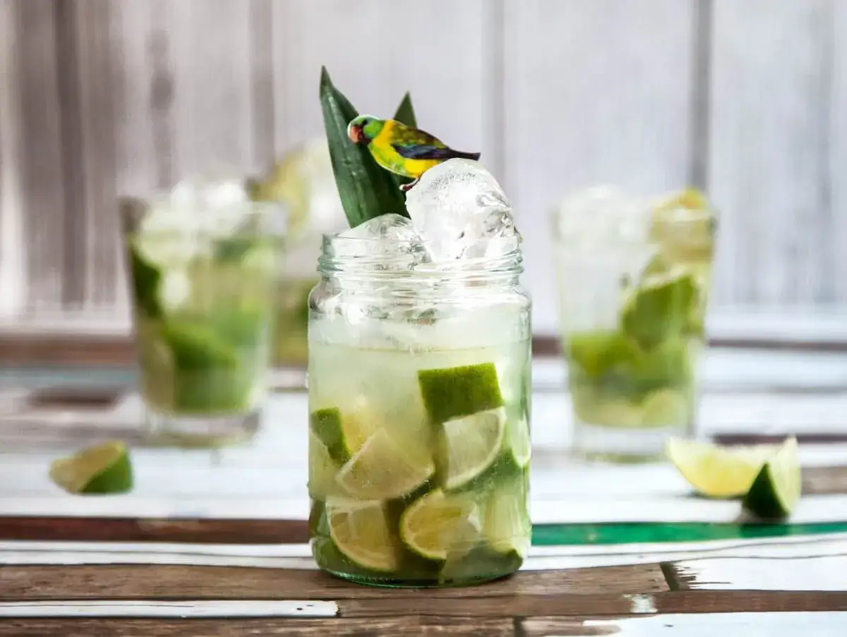 Caipirinha recept med lime och is. En liten papegoja sitter p&aring; ett blad.