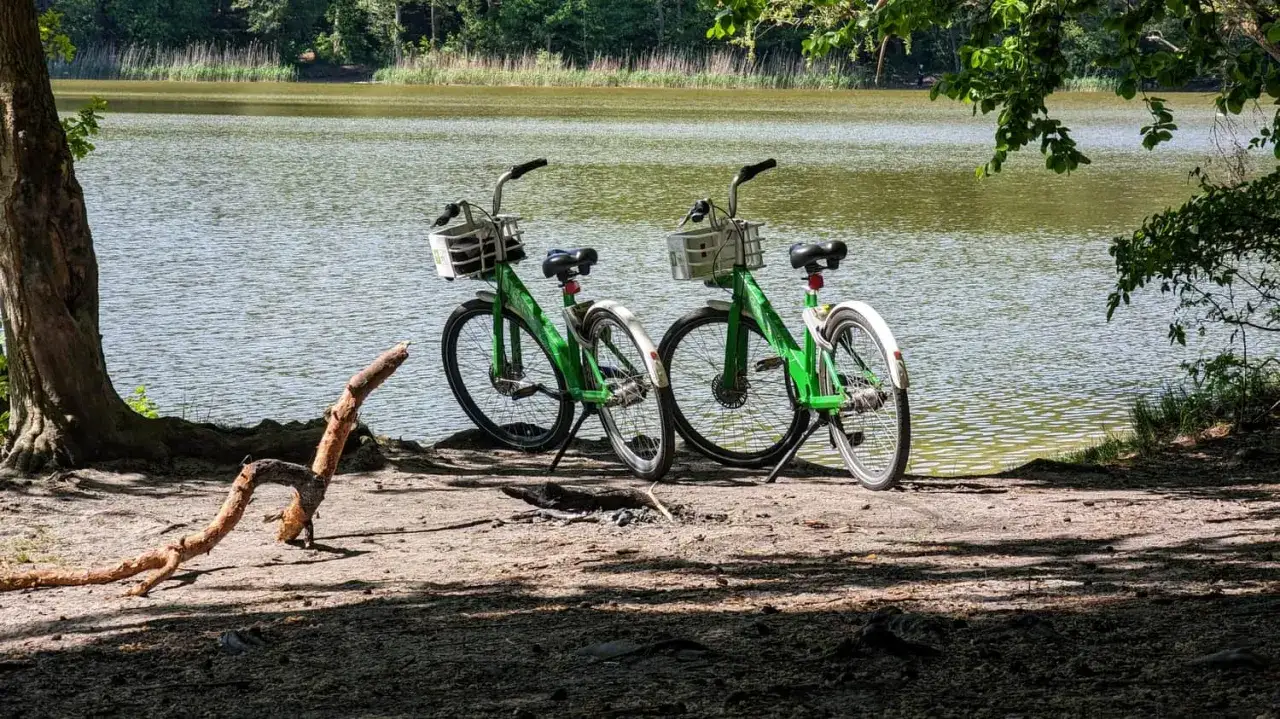 Dwa zielone rowery czekają nad jeziorem, gotowe na odkrywanie tras rowerowych Szczecin.