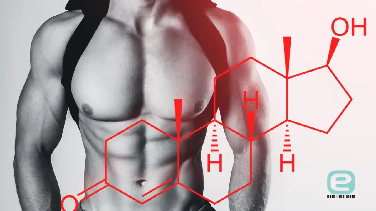 Mięśnie mężczyzny i wzór chemiczny testosteronu. Obraz nawiązuje do **andropauzy** i zmian hormonalnych.