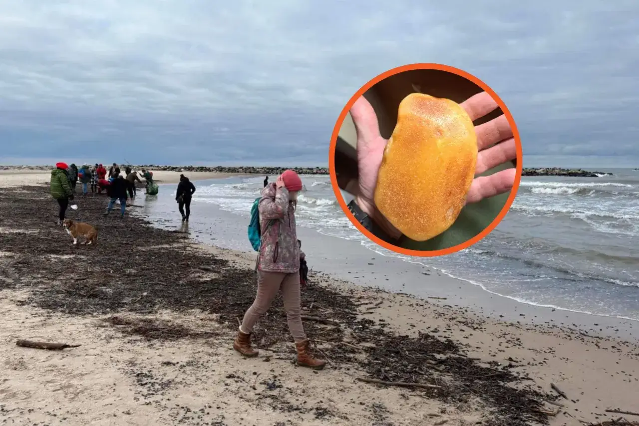 Ludzie spacerują po plaży, a w kadrze ręka trzyma duży bursztyn. Czy można zbierać bursztyny? Tak, to popularne hobby!