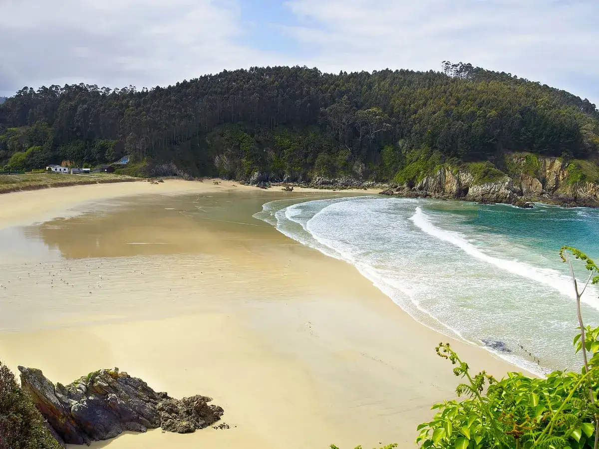 Amplia playa de arena dorada en la playa Area Brava, con olas rompiendo suavemente y un bosque frondoso al fondo.