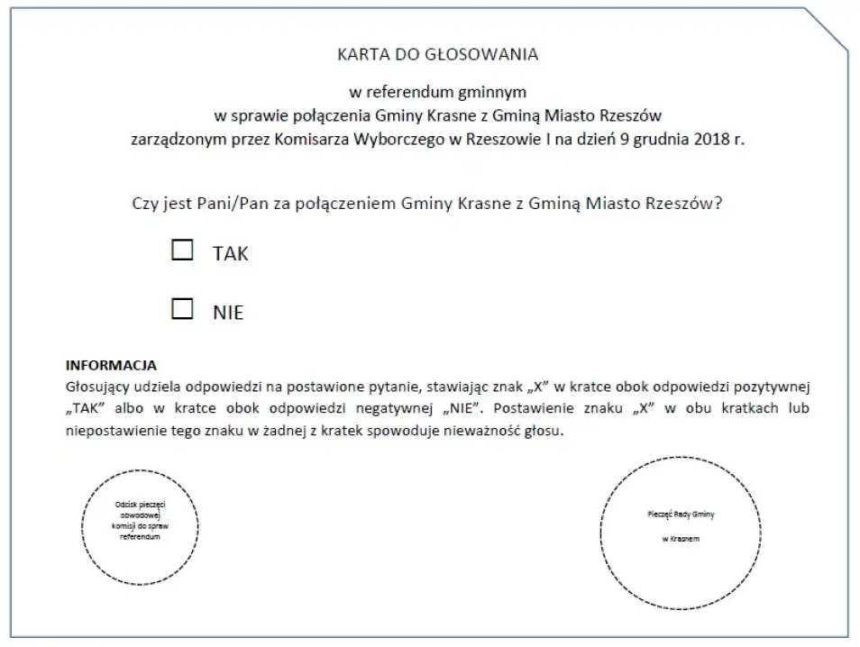 referendum głosowanie demokracja