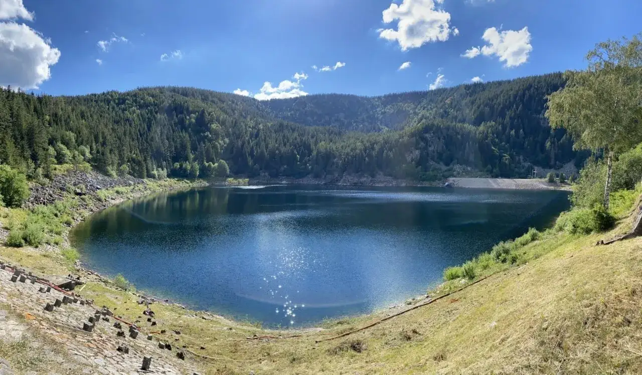 Lac paisible entouré de forêts denses, parfait pour une randonnée sur un trail vosgien. Le soleil scintille sur l'eau bleue.