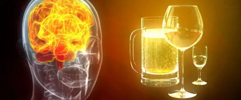 Wpływ alkoholu na m&oacute;zg i układ nerwowy