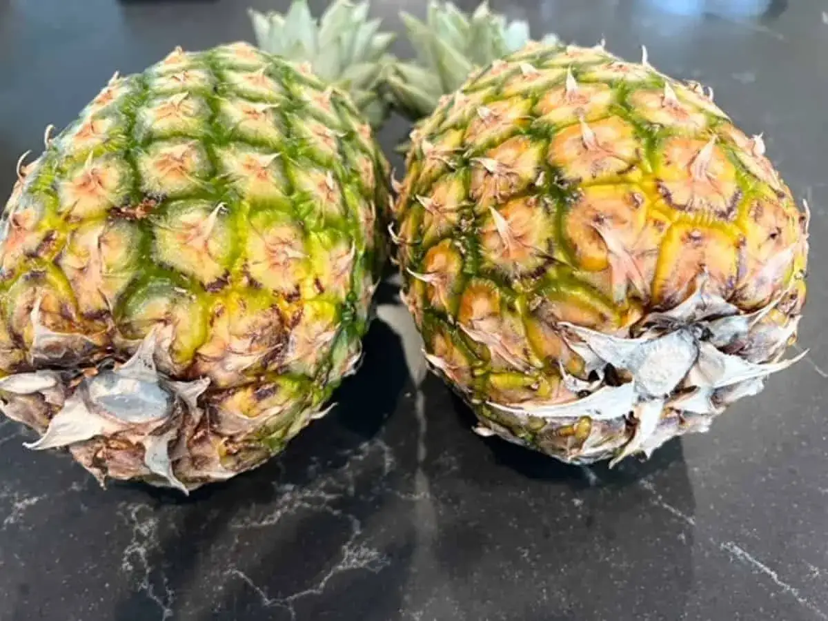 Zwei reife Ananas liegen nebeneinander. Die Schale zeigt gelb-gr&uuml;ne T&ouml;ne, ein Zeichen, dass man reife Ananas erkennen kann.