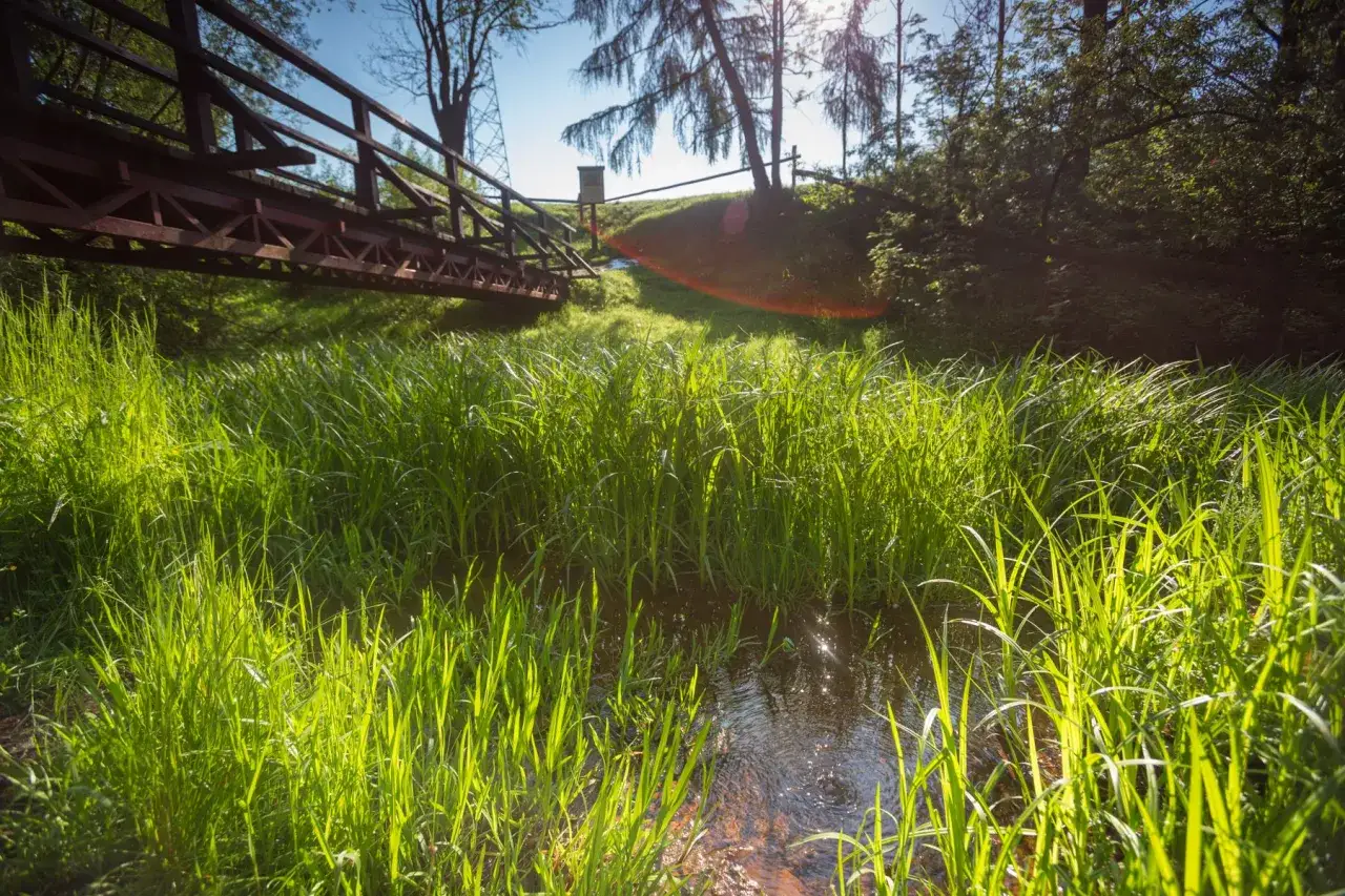 Mofeta w Jastrzębiku, ukryta wśr&oacute;d bujnej, zielonej trawy nad strumieniem. Drewniany mostek wznosi się nad wodą, a słońce przebija się przez drzewa.