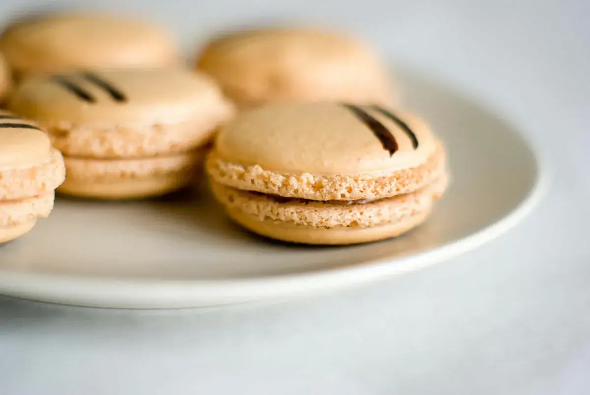 D&eacute;licieux macarons &agrave; la noisette et au Nutella, parsem&eacute;s de fines rayures chocolat&eacute;es, sur une assiette blanche.