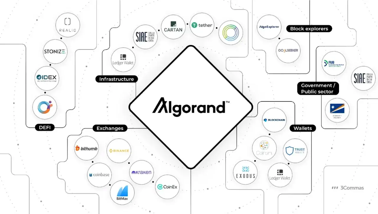 Das Ökosystem von Algorand: DeFi, Börsen, Wallets, Infrastruktur, Block Explorer und staatliche Sektoren. Die algo coin ist zentral.