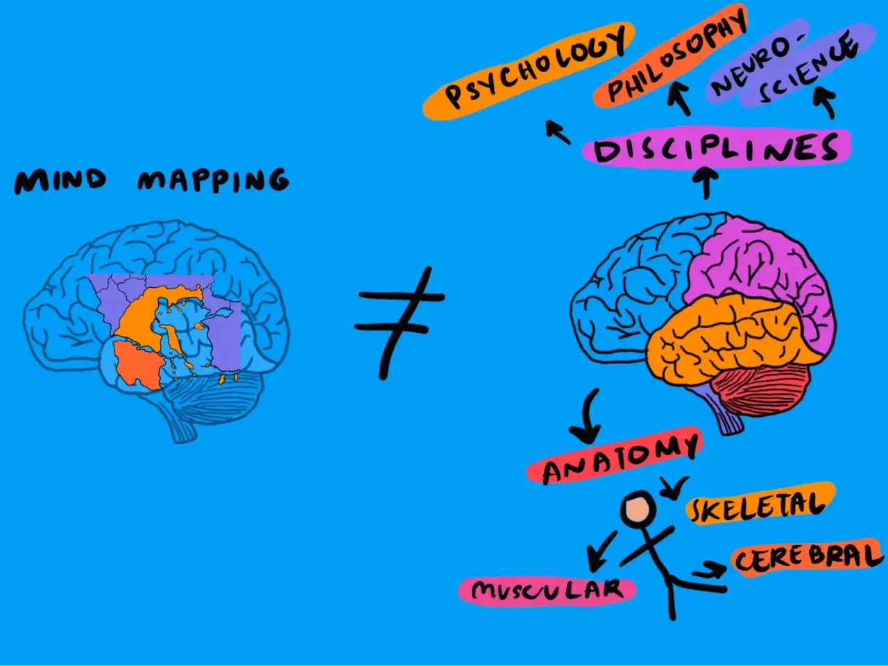 Illustratie toont twee hersenen: &eacute;&eacute;n met 'Mind Mapping' en een gestructureerde, die verhoogd associatief denken bevordert, en &eacute;&eacute;n met disciplines zoals psychologie en neurowetenschappen.