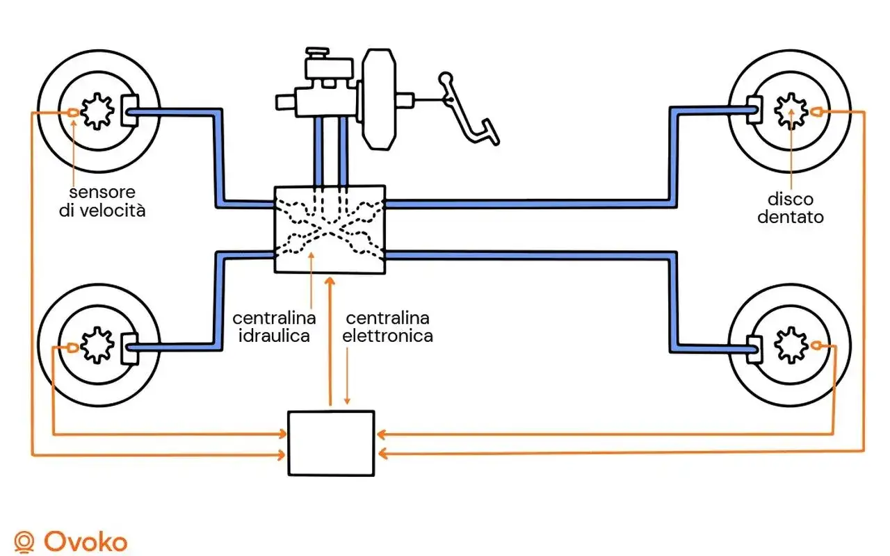 Schema impianto frenante auto: sensori velocit&agrave;, dischi, centraline idraulica ed elettronica. Utile per lo spurgo freni auto.