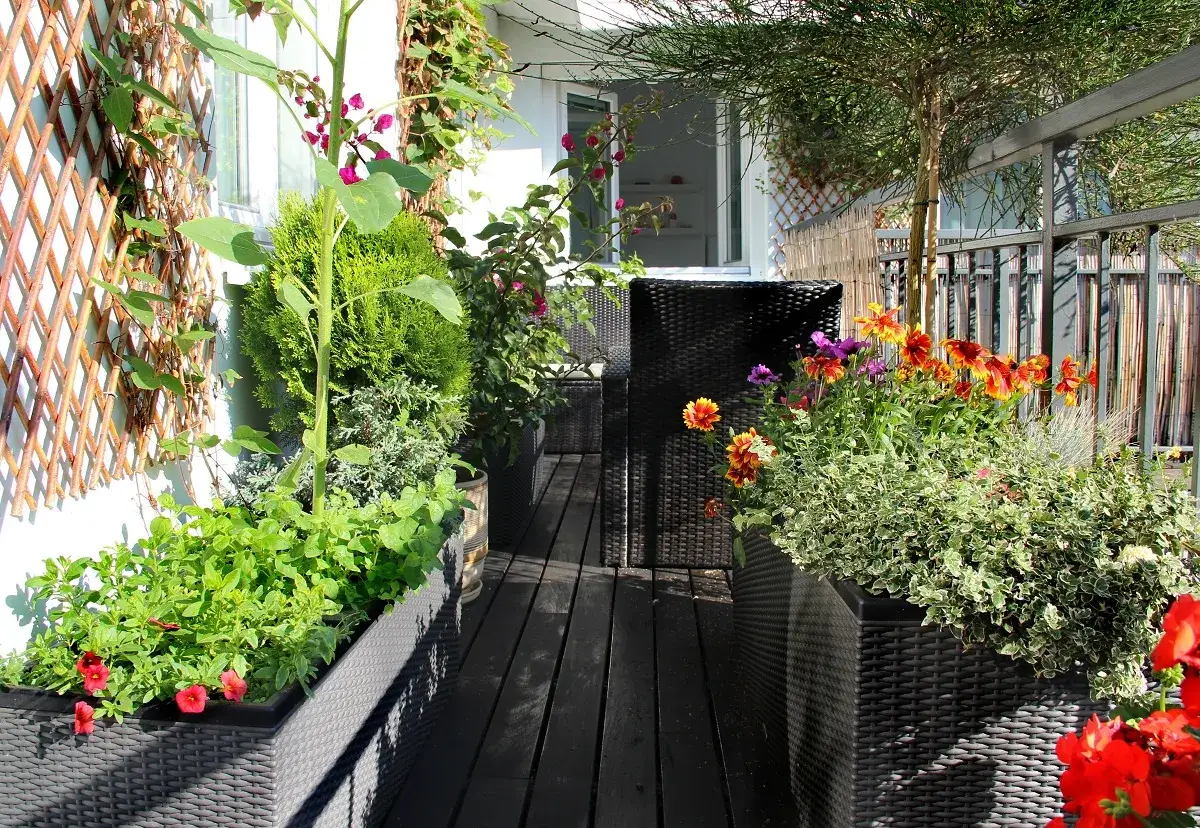 Un balcón lleno de vida, ideal para aprender como hacer un huerto urbano. Flores coloridas y plantas verdes en macetas.