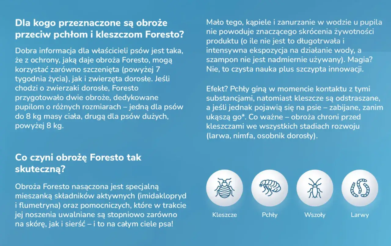 obroża Foresto na psie
