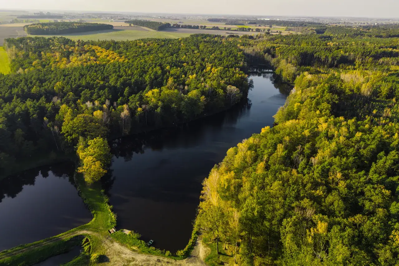 Widok z lotu ptaka na malownicze jezioro otoczone jesiennym lasem. To idealne miejsce, gdzie jest łowisko maślanka.
