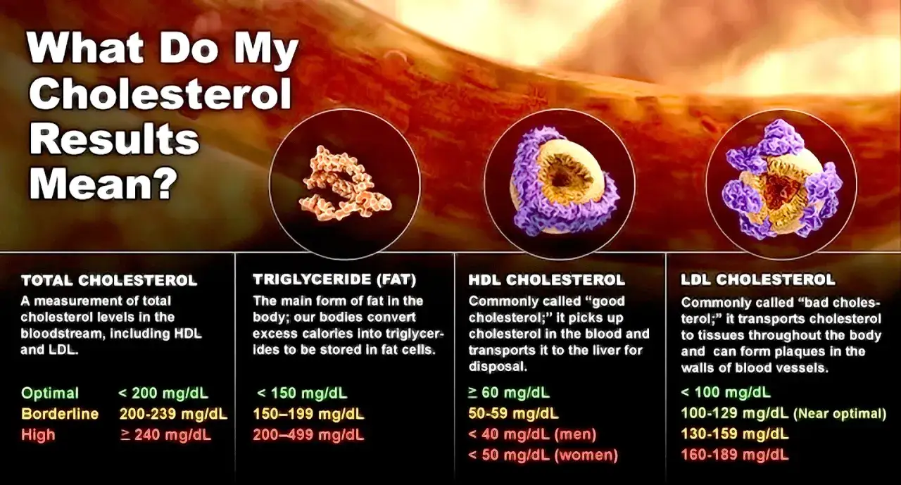 Lipidogram co to? Wykres przedstawia rodzaje cholesterolu (HDL, LDL, trójglicerydy) i ich normy.