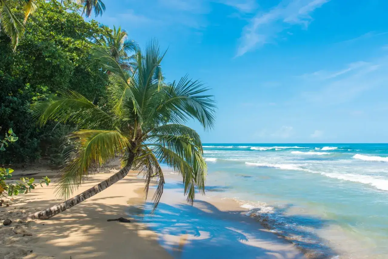 Traumhafter Strand mit Palmen und türkisfarbenem Meer. Perfekt für die costa rica beste reisezeit.