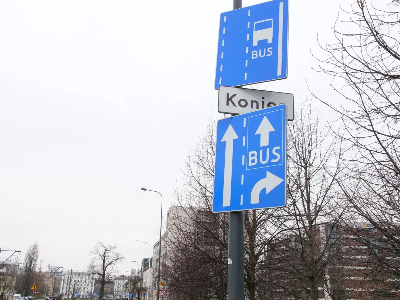 Znaki drogowe informują o buspasie. Jeden wskazuje początek, drugi kierunki jazdy dla autobusów.