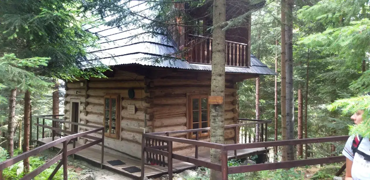Drewniana pustelnia brata Alberta w otoczeniu lasu.