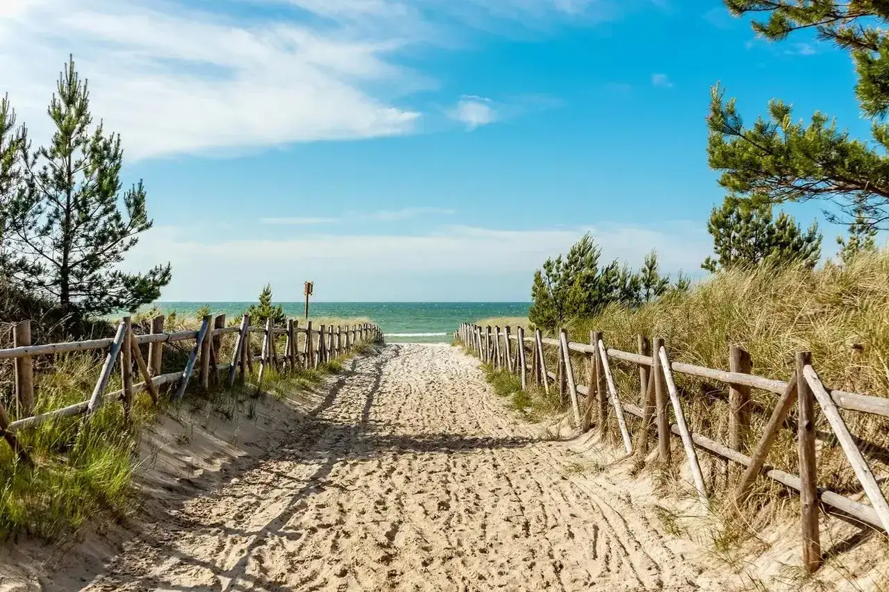 Pies na plaży z właścicielem