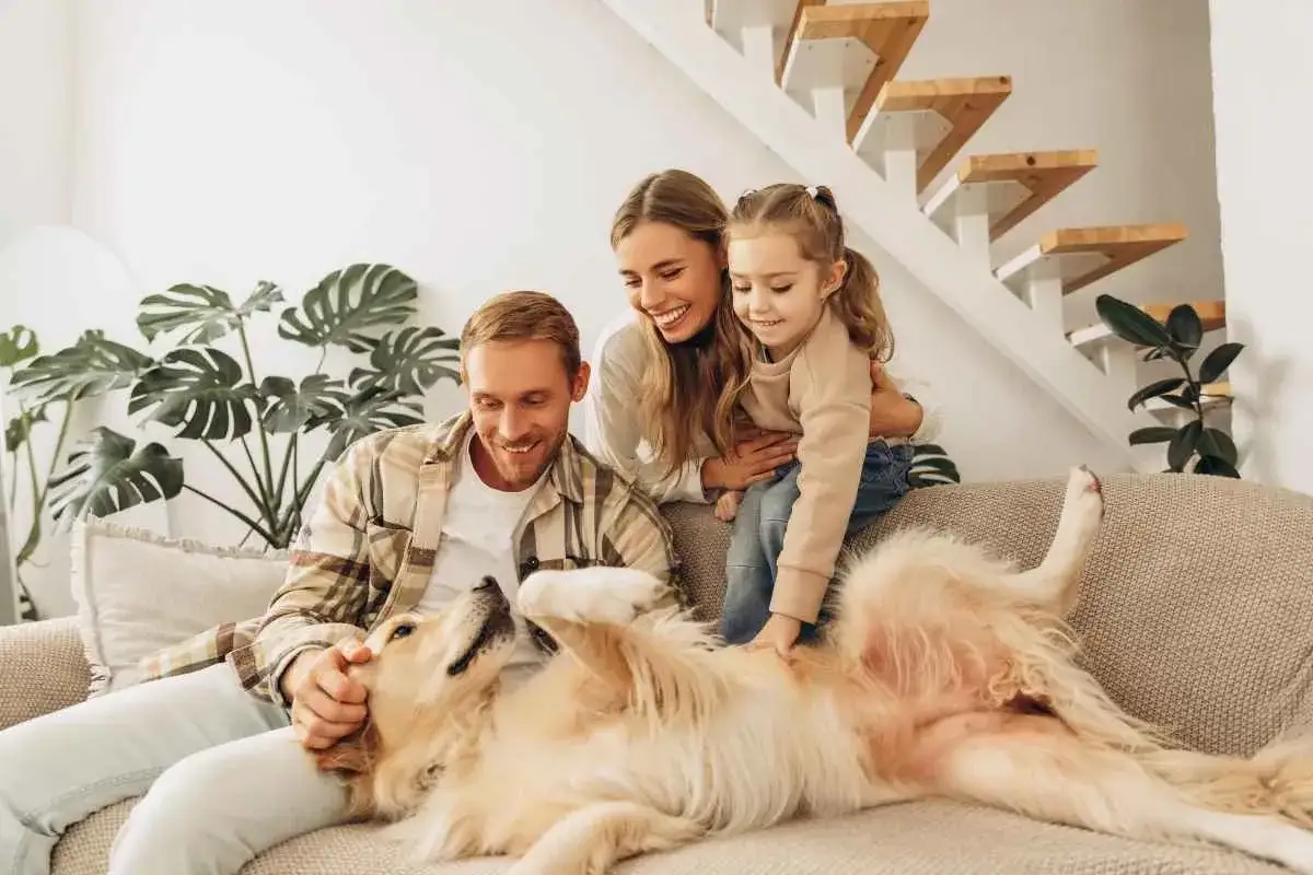Familie spielt mit Golden Retriever, einer der beliebtesten Begleithunde Rassen, auf dem Sofa.