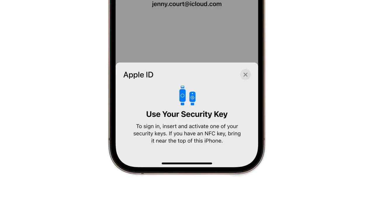 Pęk kluczy iPhone: użyj klucza bezpieczeństwa do logowania. Dwa niebieskie klucze symbolizują bezpieczeństwo.