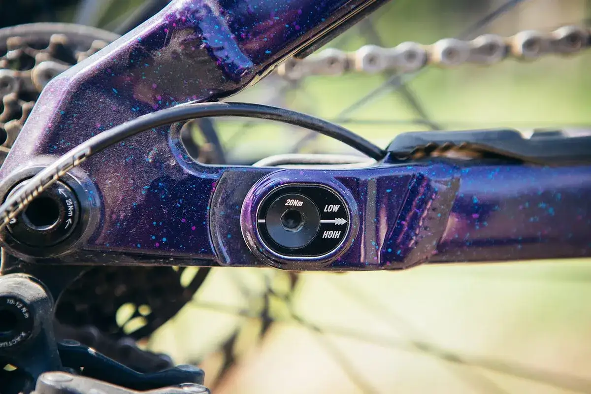 Close-up of a purple, speckled flip chip on a flip chip mtb, allowing adjustment between low and high settings.