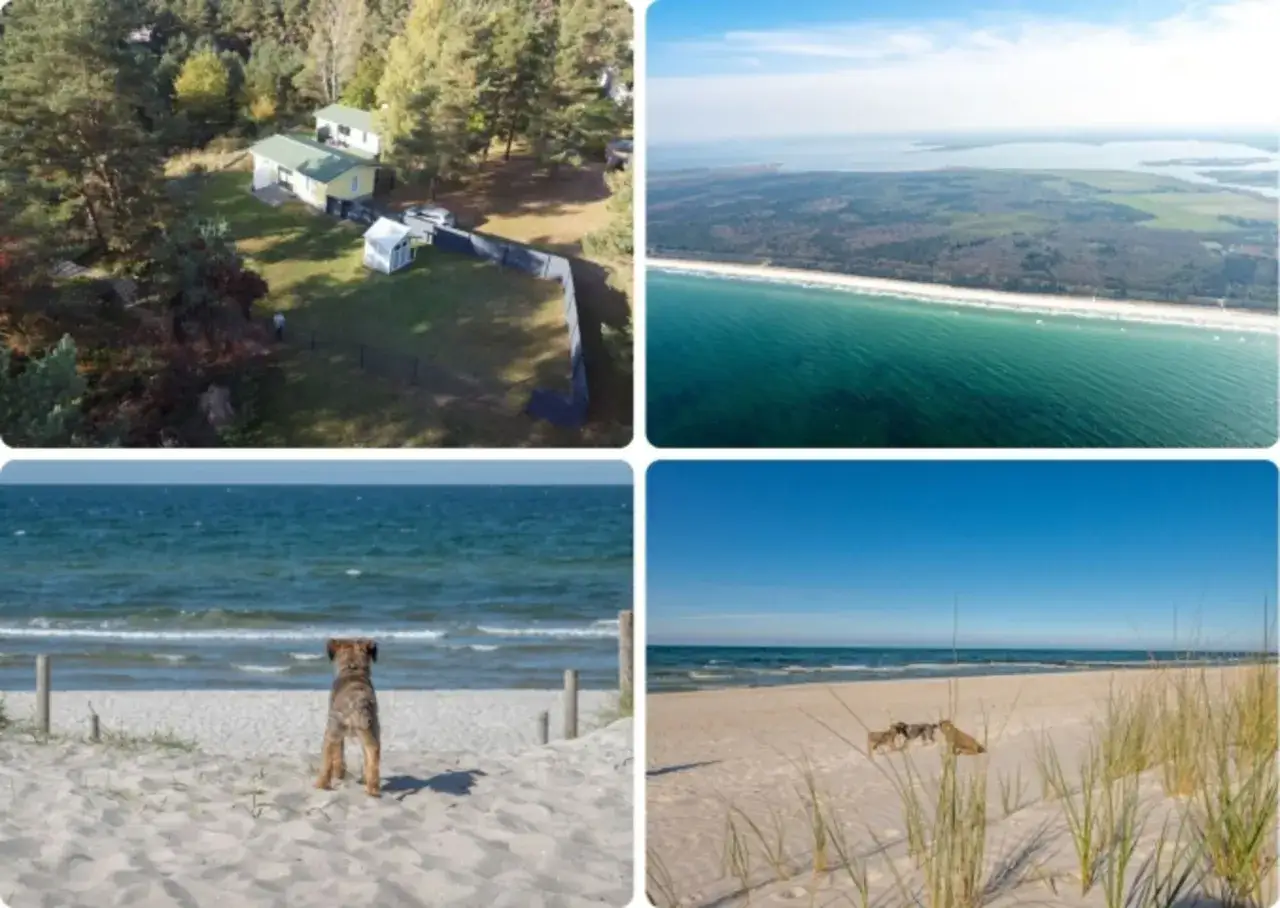 Vier Bilder zeigen den barth strand: ein Haus im Wald, eine Luftaufnahme der Küste, ein Hund am Meer und zwei Hunde am Strand.
