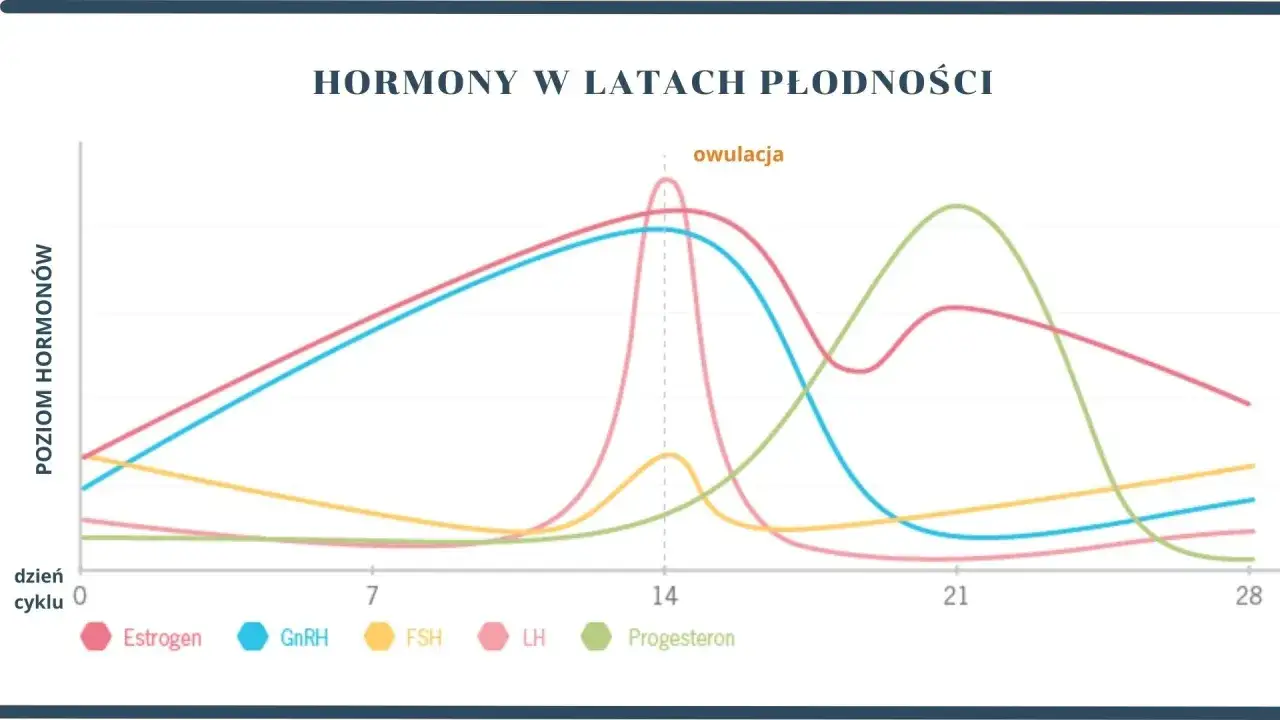 Wykres pokazuje zmiany poziomu hormonów: estrogenu, GnRH, FSH, LH i progesteronu, kluczowych dla pracy jajników i cyklu menstruacyjnego.