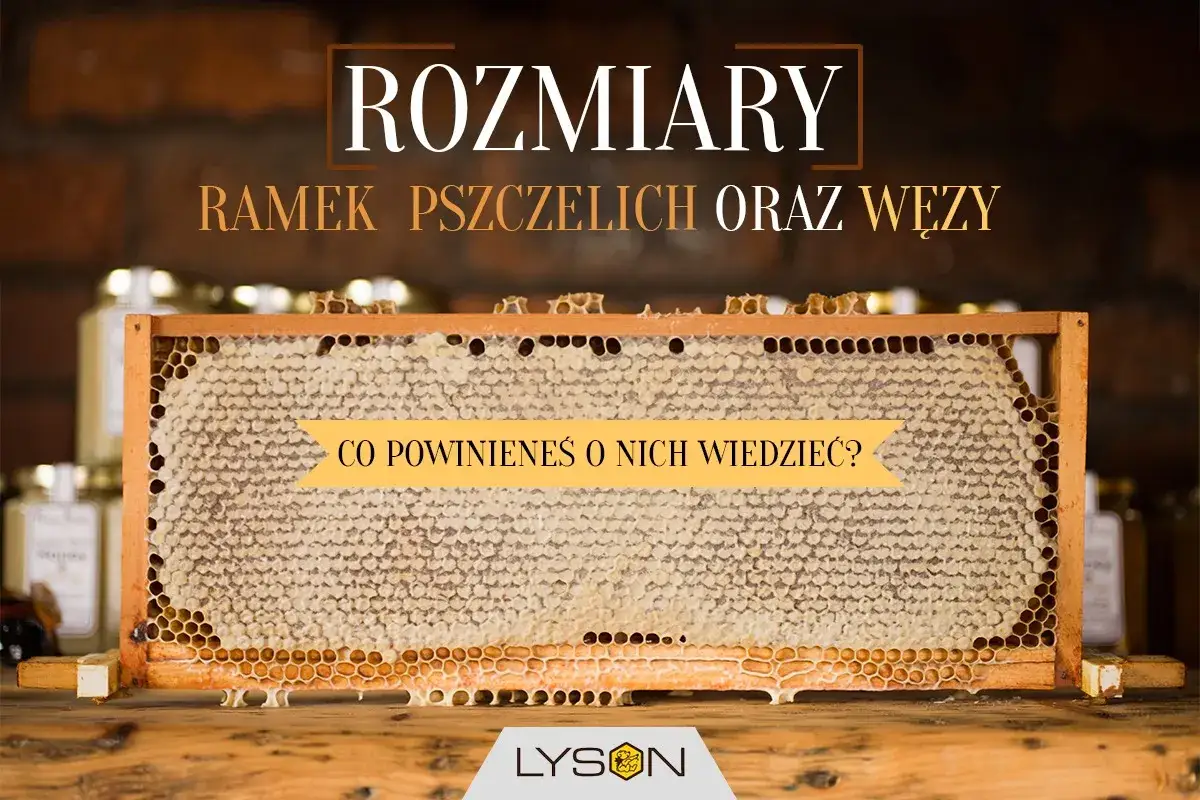 Ramka wielkopolska wymiary: pełna plastrów miodu, z napisem 