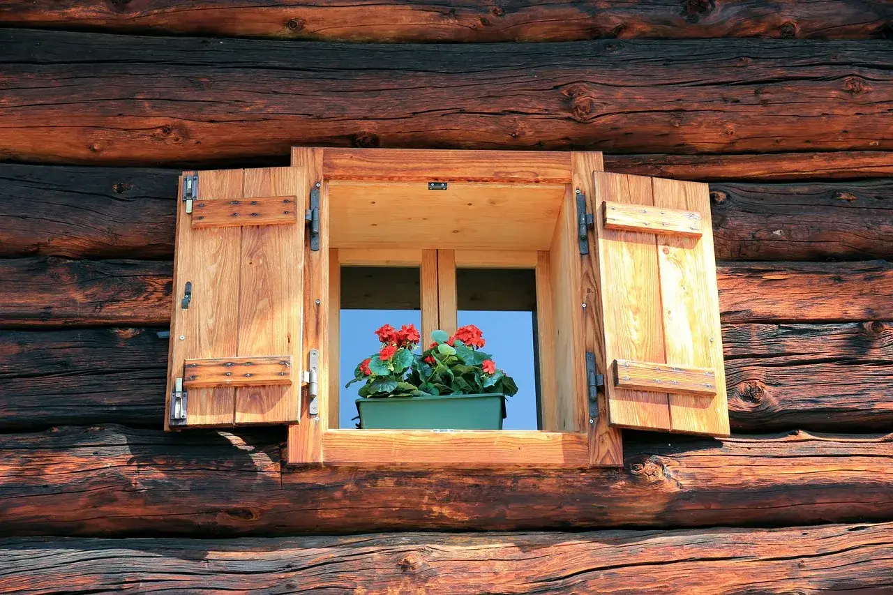 Fenêtre de chalet en bois avec volets ouverts, décorée de géraniums rouges. Le bois est traité à la lasure.