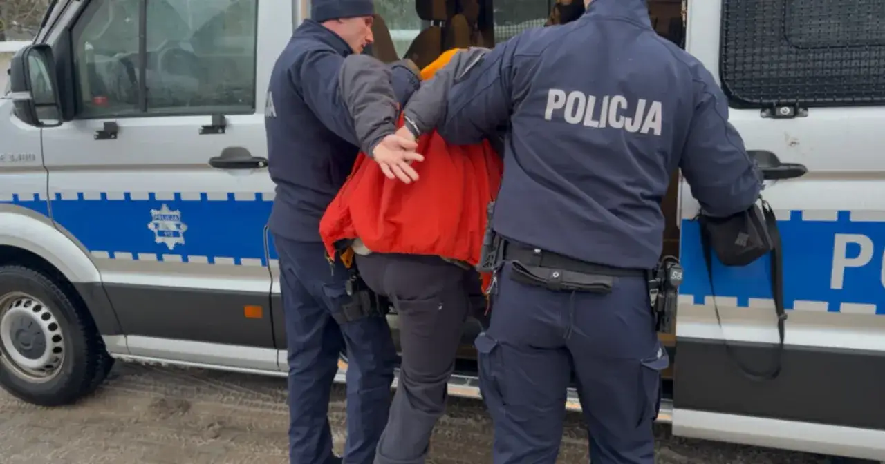 Policjanci eskortują zatrzymanego do radiowozu. Wygląda na to, że rozbito jakiś gang.
