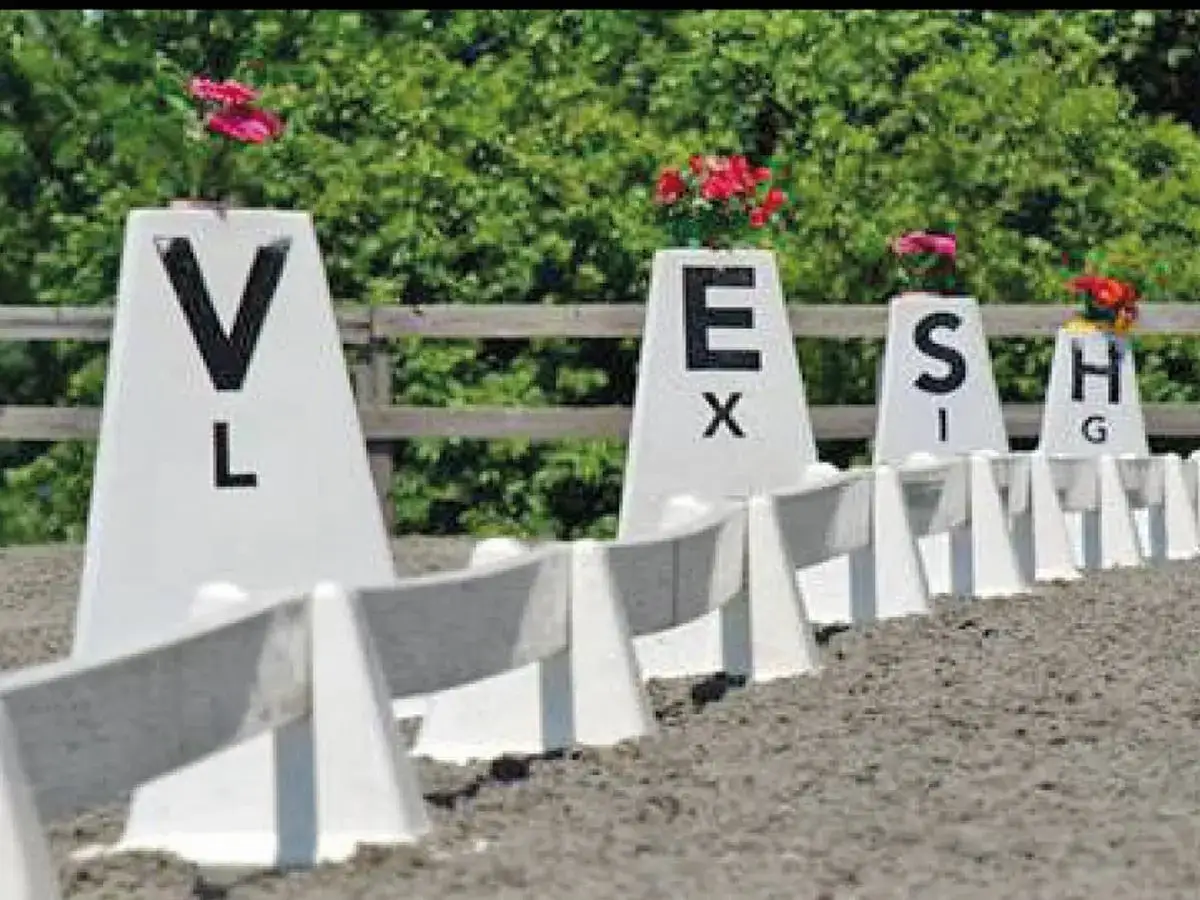 Reithalle mit wei&szlig;en Markierungen, die Buchstaben wie V, L, E, X, S, I, H, G tragen. Blumen schm&uuml;cken einige der Kegel.