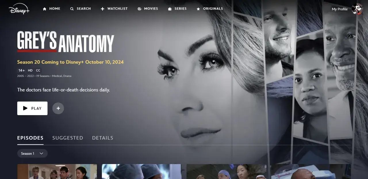 Chirurdzy: ile sezonów? Grey's Anatomy powraca z 20. sezonem na Disney+.