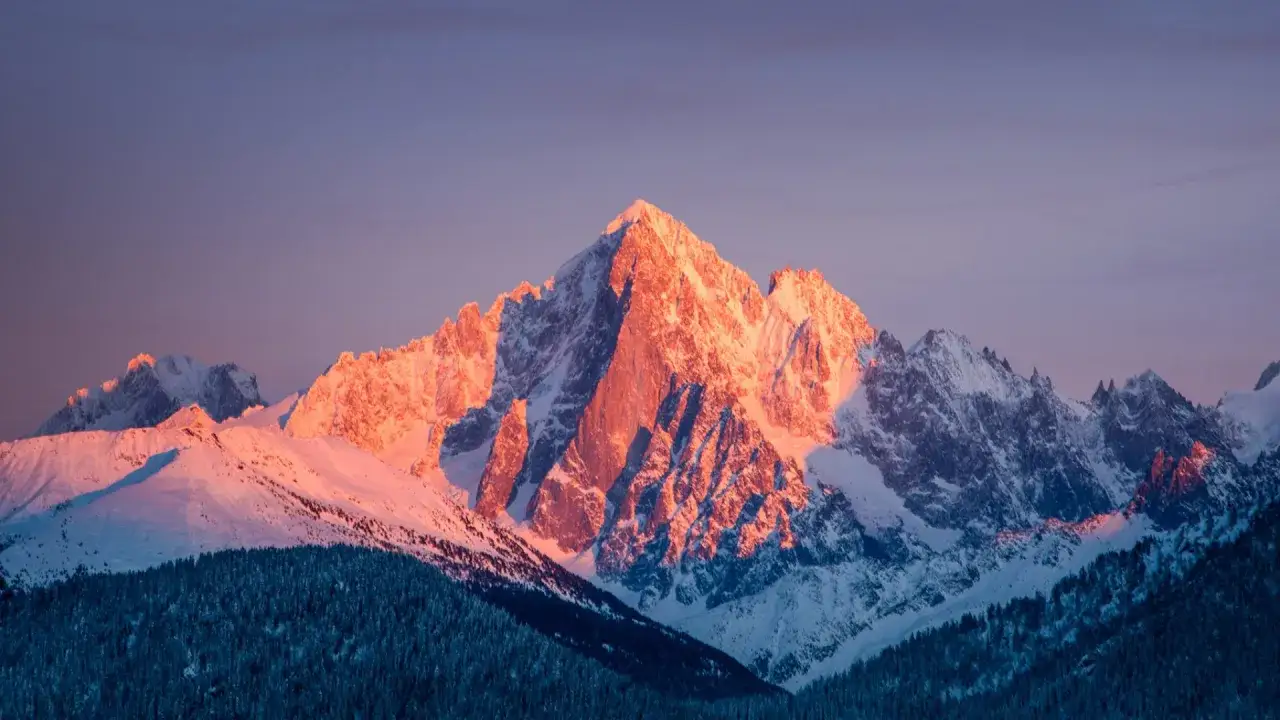 La majestuosa **montaña Mont Blanc** se baña en tonos rosados al amanecer, con picos nevados y un bosque oscuro en primer plano.