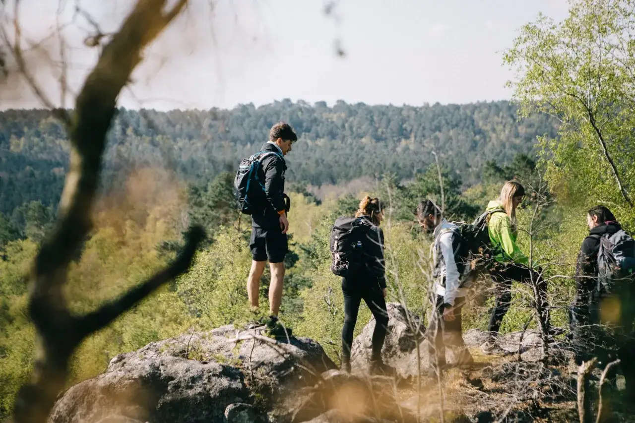 Groupe d'amis en pleine randonnée ce week-end, profitant d'un paysage verdoyant et ensoleillé.