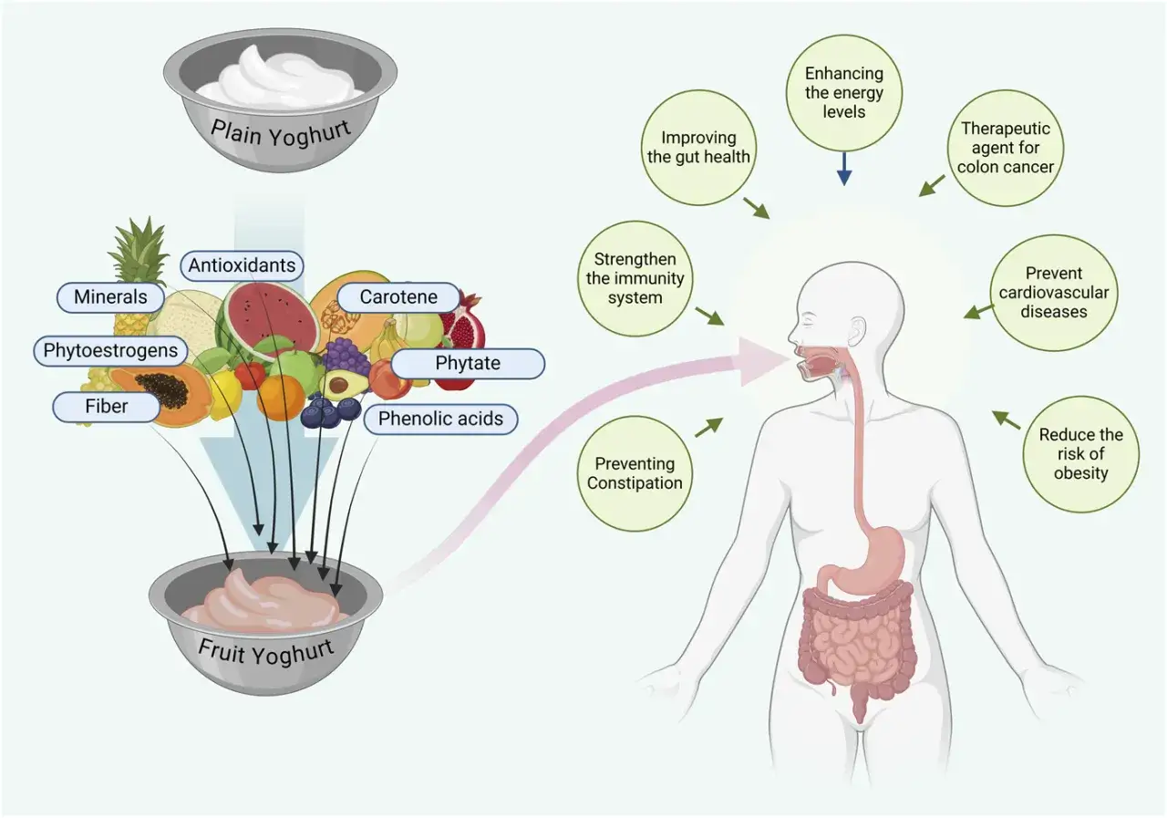 Yogur de frutas con minerales, fibra y antioxidantes, que ayuda a mejorar la salud intestinal y previene el estre&ntilde;imiento, adem&aacute;s de ofrecer zumos astringentes beneficiosos.